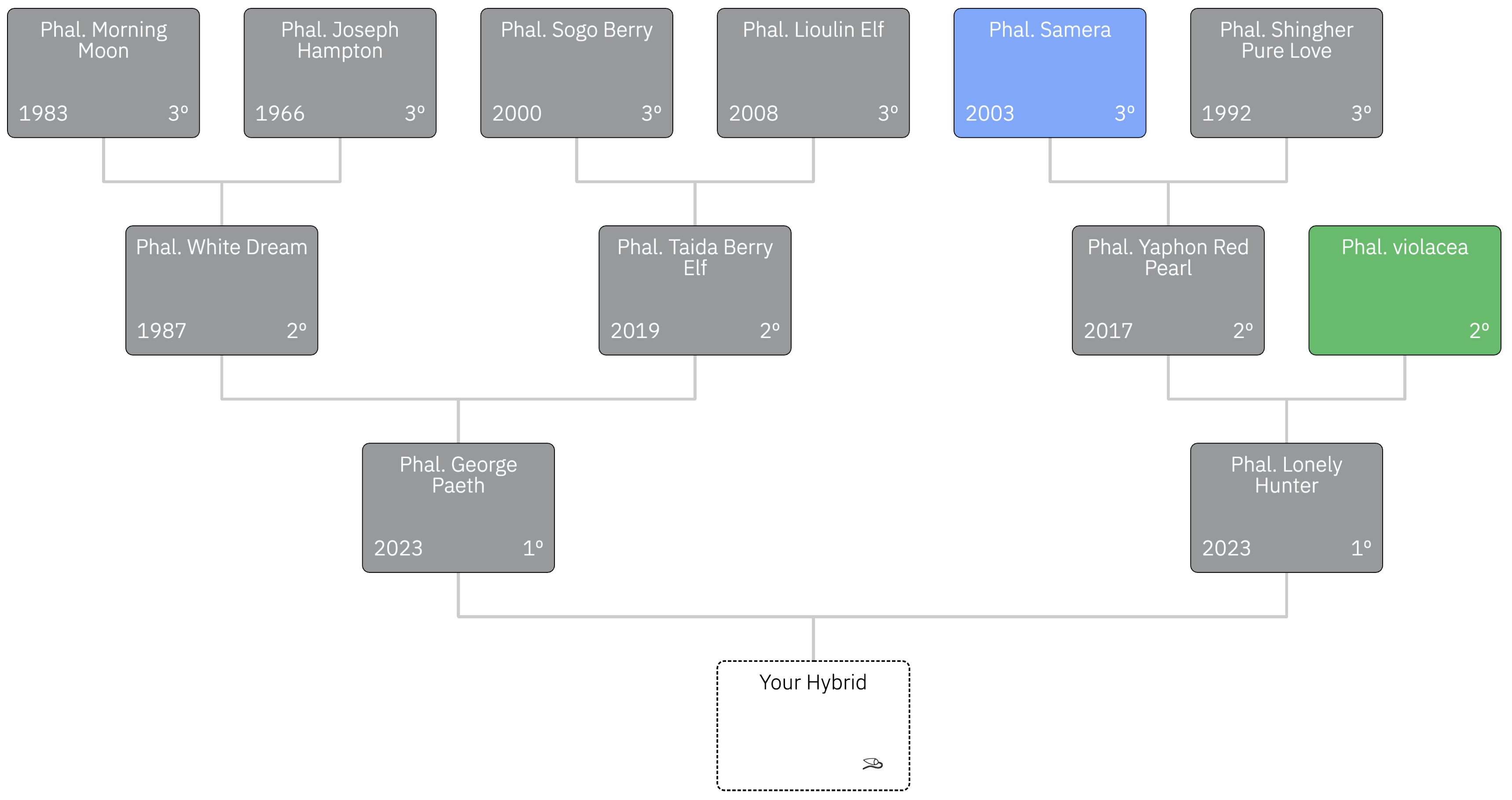 Hybridizer tool